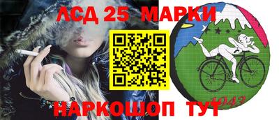 крисы Ирбит