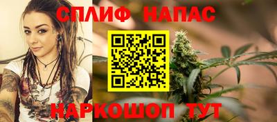 крисы Ирбит