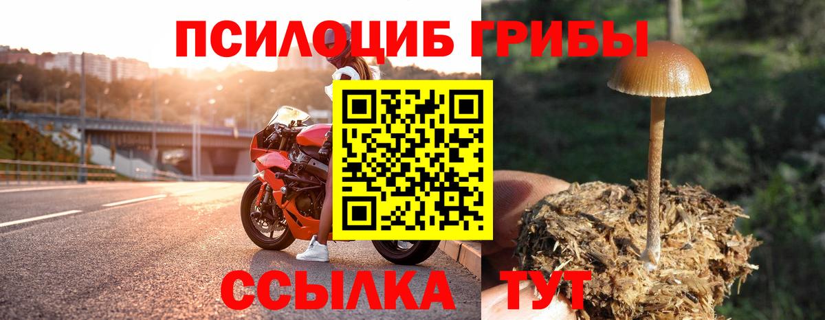 закладка  Галлюциногенные грибы GOLDEN TEACHER  Вход с VPN  Галлюциногенные грибы MAGIC MUSHROOMS  Энгельс 